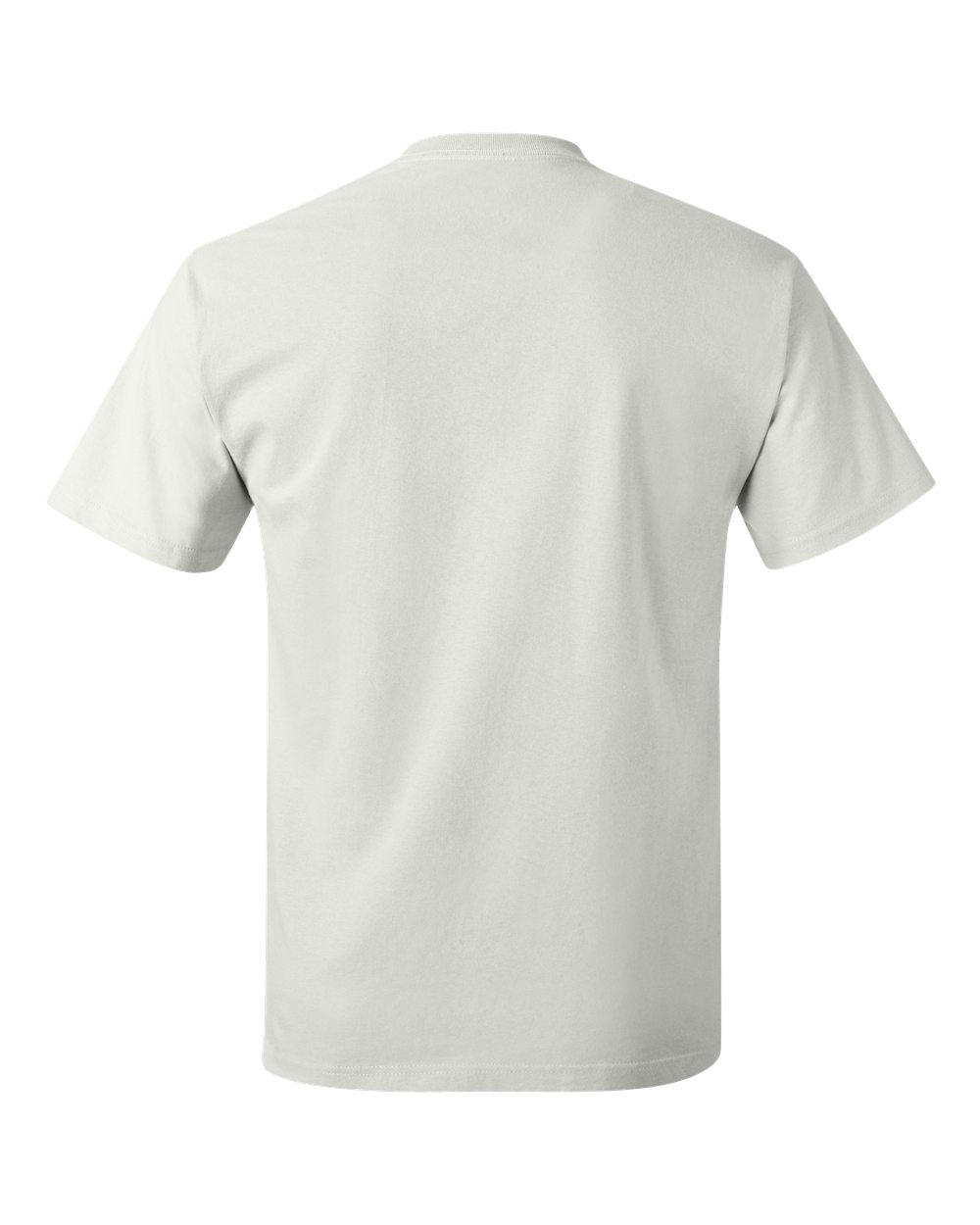 Hanes 5250 - Authentic T-Shirt