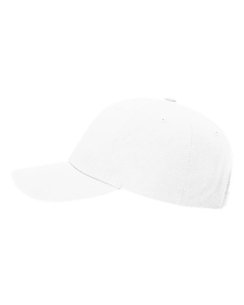 Sustainable Ashland Dad Hat