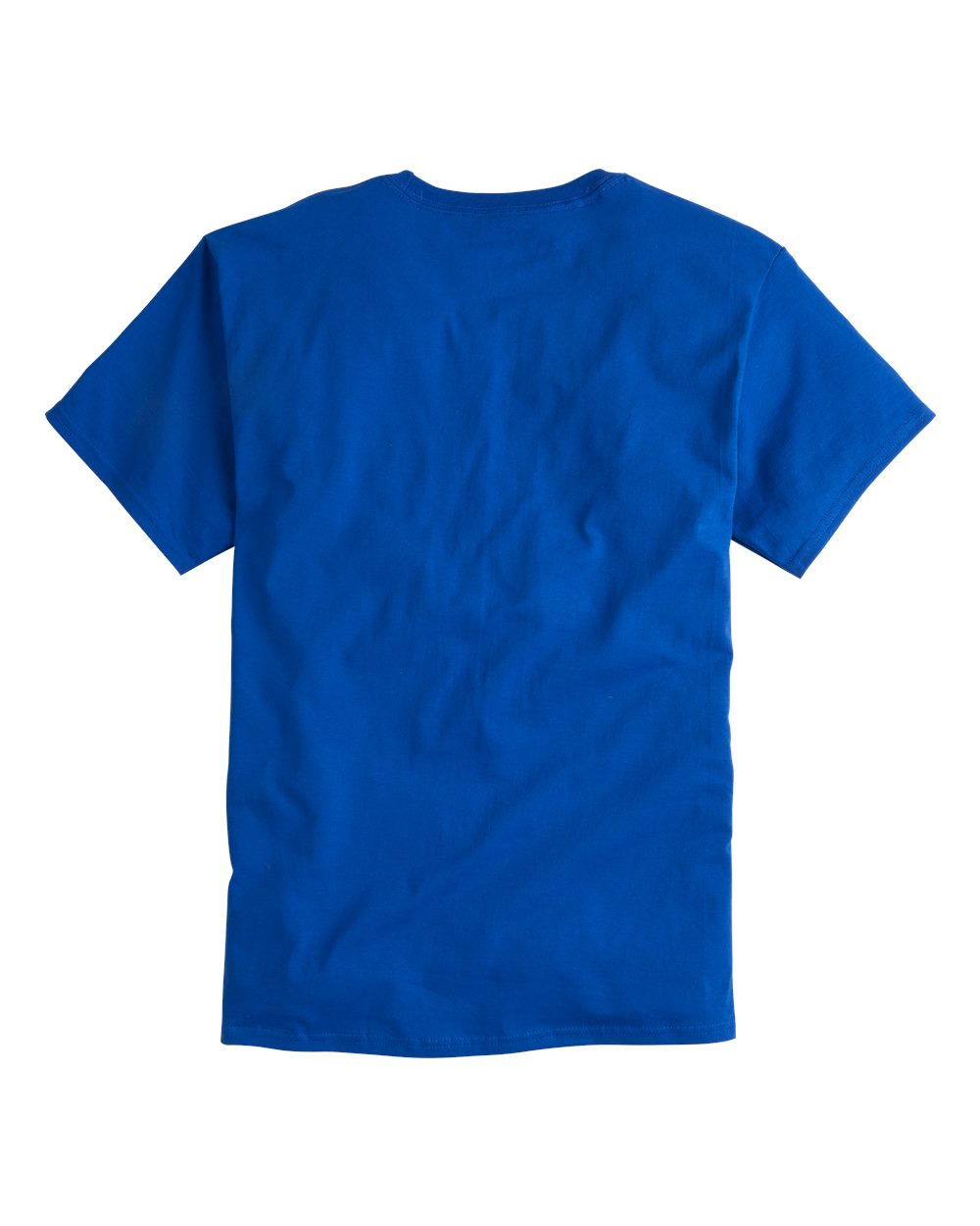 🔥 Champion Men's Classic T-Shirt Short Sleeve Cotton Crewneck Up To 4XL T425 - Picture 11 of 155