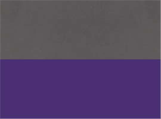 Graphite/ Purple