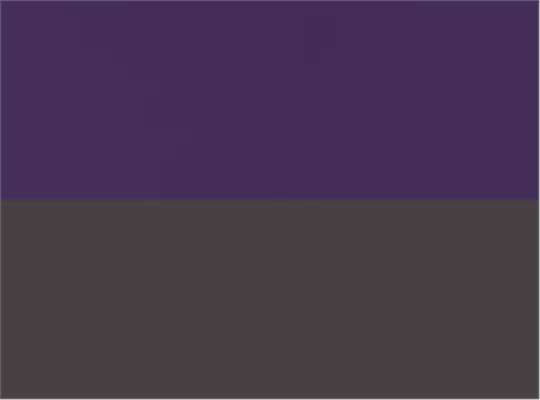 Purple/ Graphite