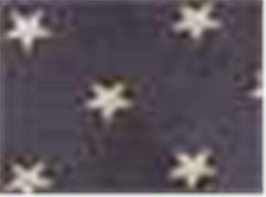 Navy Stars