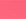 Bright Pink