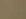 Coyote Brown