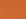 Sport Burnt Orange