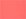 Bright Coral