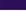 Team Collegiate Purple/ White