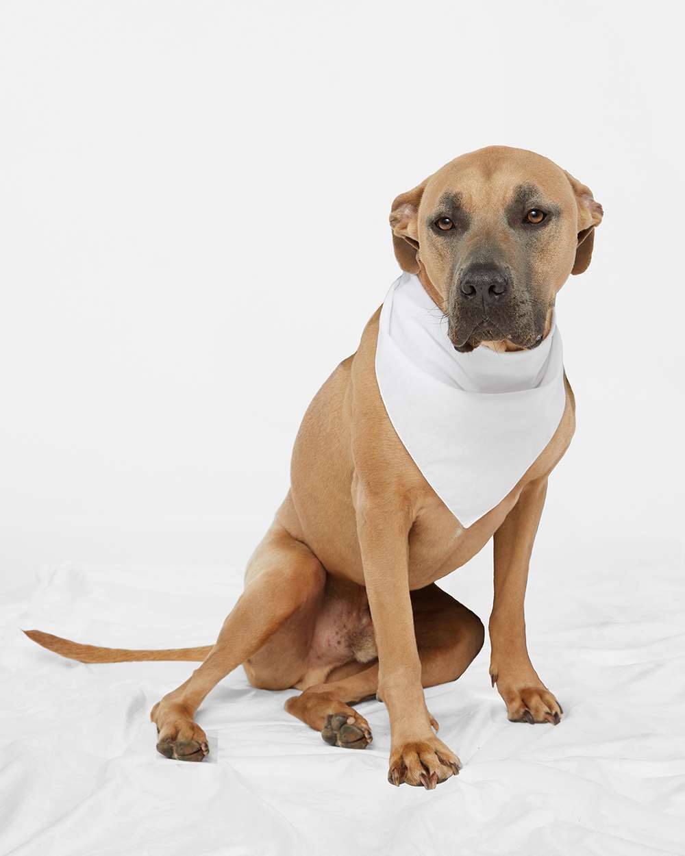 Doggie Skins 3905 - USA-Made Doggie Bandana