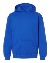 Somerset Patriots Youth Save Affiliate Hooded Sweatshirt yxl / Navy