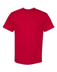  Hanes Authentic T-Shirt - Full Color - Colors 6729-FC-C